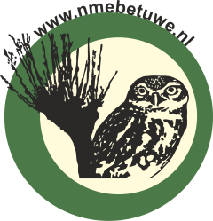 Logo nme