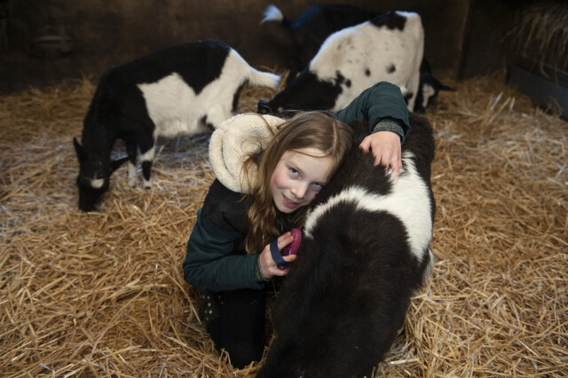 Stadsboerderij de Korenmaat   Tour met de Boer